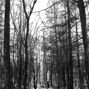 Everything Must Go!!!!